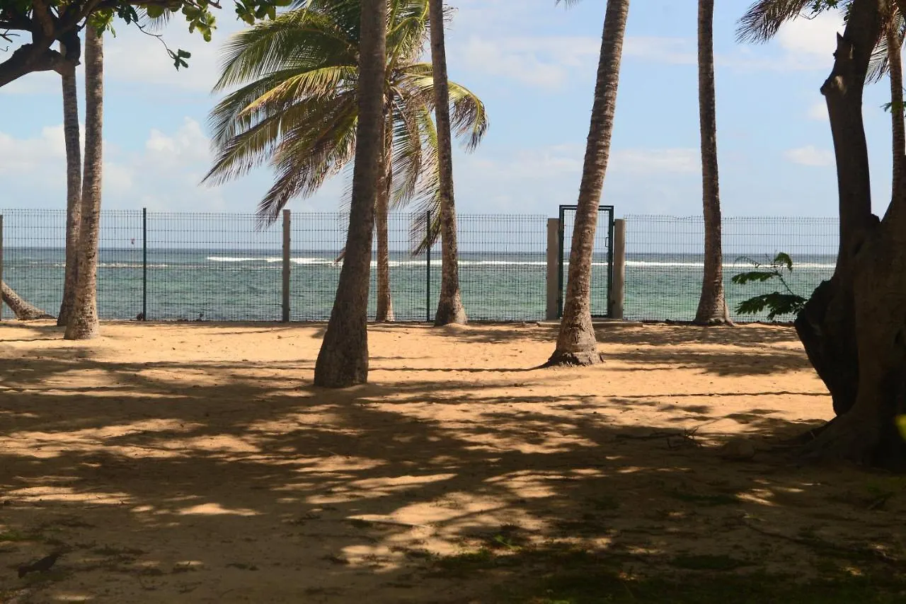 アパート Charmant Studio Avec Vue Sur Mer Au Moule 20 M² + Terrasse ル・ムル