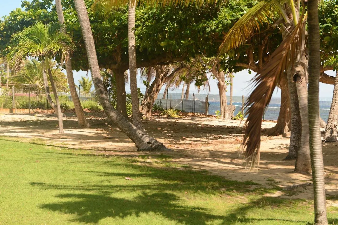 Charmant Studio Avec Vue Sur Mer Au Moule 20 M² + Terrasse ル・ムル