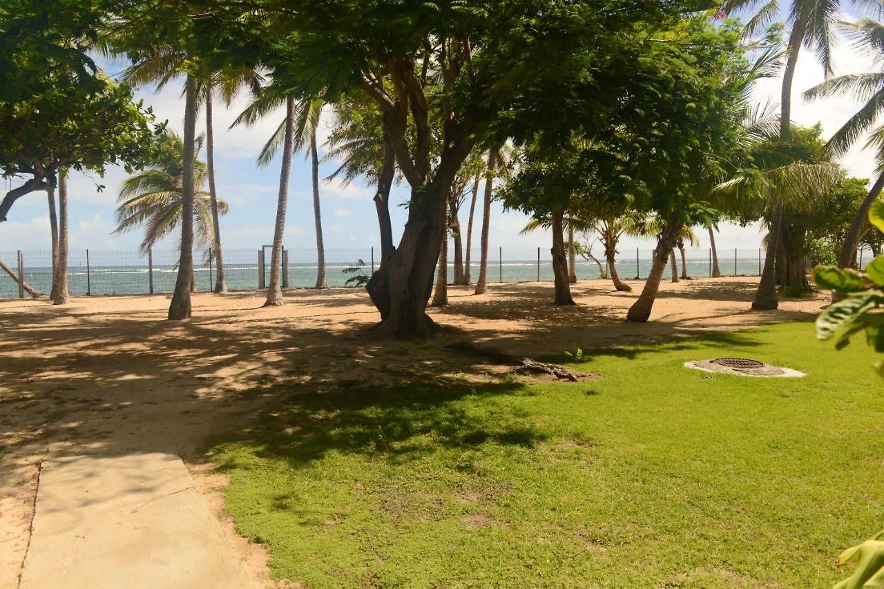 Charmant Studio Avec Vue Sur Mer Au Moule 20 M² + Terrasse ル・ムル 0*,